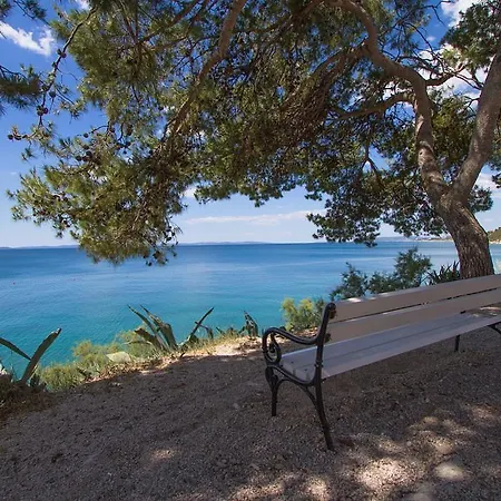 Apartman Olive Tree Split