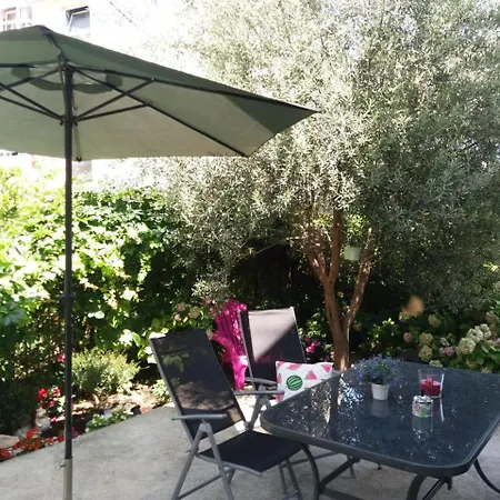 Olive Tree Split